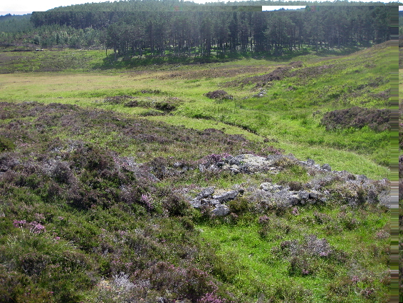 Possible kiln on western site of Riechappel